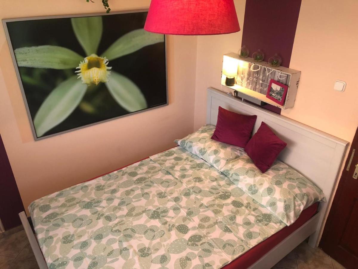 Apartment Balaton Soul House